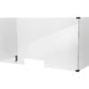 Sneeze Guard for Professional Kiosk