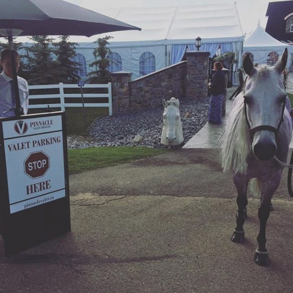 Pinnacle Valet Portable Podium